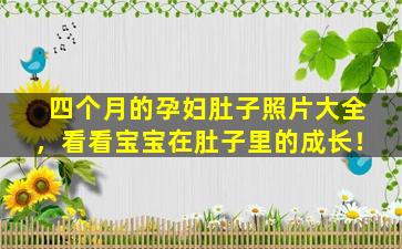 四个月的孕妇肚子照片大全，看看宝宝在肚子里的成长！
