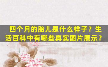 四个月的胎儿是什么样子？生活百科中有哪些真实图片展示？