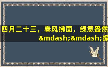 四月二十三，春风拂面，绿意盎然——探秘四月二十三的绿色环保之路