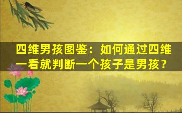四维男孩图鉴：如何通过四维一看就判断一个孩子是男孩？