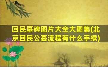 回民墓碑图片大全大图集(北京回民公墓流程有什么手续)