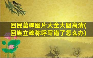 回民墓碑图片大全大图高清(回族立碑称呼写错了怎么办)