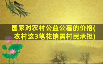 国家对农村公益公墓的价格(农村这3笔花销需村民承担)