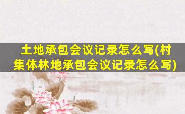 土地承包会议记录怎么写(村集体林地承包会议记录怎么写)