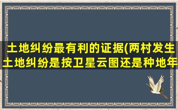 土地纠纷最有利的证据(两村发生土地纠纷是按卫星云图还是种地年限为什么)