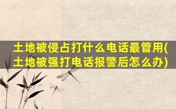 土地被侵占打什么电话最管用(土地被强打电话报警后怎么办)