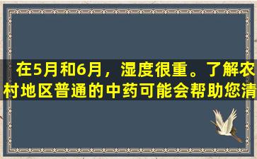 在5月和6月，湿度很重。了解农村地区普通的中药可能会帮助您清除一些水分。