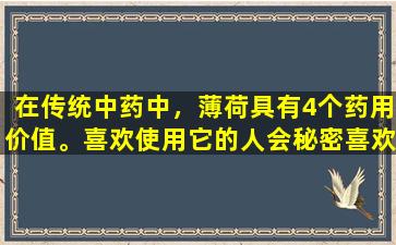 在传统中药中，薄荷具有4个药用价值。喜欢使用它的人会秘密喜欢它。