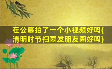 在公墓拍了一个小视频好吗(清明时节扫墓发朋友圈好吗)