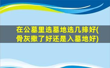 在公墓里选墓地选几排好(骨灰撒了好还是入墓地好)