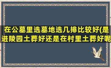 在公墓里选墓地选几排比较好(是进陵园土葬好还是在村里土葬好呢)