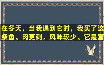 在冬天，当我遇到它时，我买了这条鱼。肉更刺，风味较少。它是营养和滋养。炖豆腐真是太美味了。