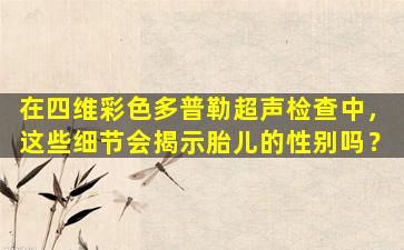 在四维彩色多普勒超声检查中，这些细节会揭示胎儿的性别吗？
