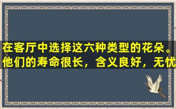 在客厅中选择这六种类型的花朵。他们的寿命很长，含义良好，无忧且易于提高。您在家中有几种类型？