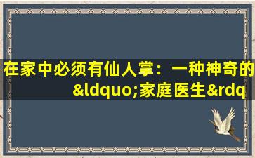 在家中必须有仙人掌：一种神奇的“家庭医生”，一种植物是多功能的，它可以保护健康！