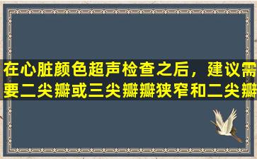 在心脏颜色超声检查之后，建议需要二尖瓣或三尖瓣瓣狭窄和二尖瓣反流。