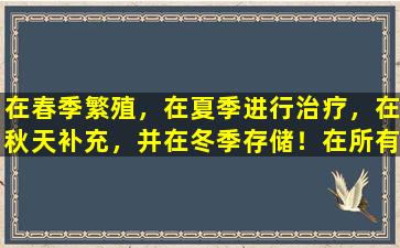 在春季繁殖，在夏季进行治疗，在秋天补充，并在冬季存储！在所有季节中，简单易用的健康保存规则！