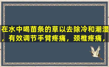 在水中喝苗条的草以去除冷和潮湿，有效调节手臂疼痛，颈椎疼痛，腰部和腿部疼痛！
