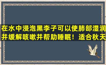 在水中浸泡黑李子可以使肺部湿润并缓解咳嗽并帮助睡眠！适合秋天的家庭