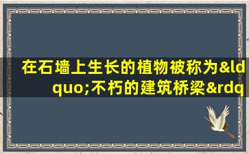 在石墙上生长的植物被称为“不朽的建筑桥梁”。他们很重要，可以看到，但很难找到