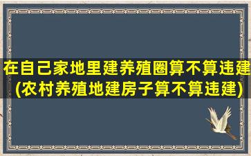 在自己家地里建养殖圈算不算违建(农村养殖地建房子算不算违建)