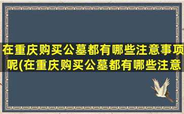 在重庆购买公墓都有哪些注意事项呢(在重庆购买公墓都有哪些注意事项和要求)