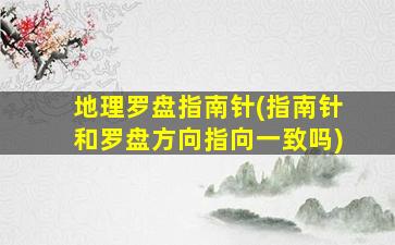 地理罗盘指南针(指南针和罗盘方向指向一致吗)