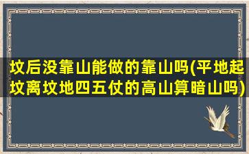 坟后没靠山能做的靠山吗(平地起坟离坟地四五仗的高山算暗山吗)