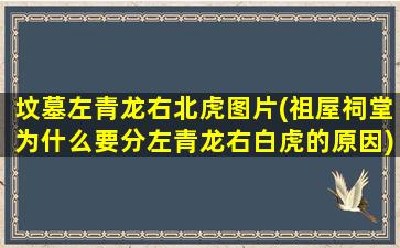 坟墓左青龙右北虎图片(祖屋祠堂为什么要分左青龙右白虎的原因)