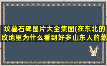 坟墓石碑图片大全集图(在东北的坟地里为什么看到好多山东人的墓碑人不应该落叶归根吗)