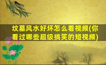 坟墓风水好坏怎么看视频(你看过哪些超级搞笑的短视频)