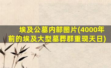 埃及公墓内部图片(4000年前的埃及大型墓葬群重现天日)