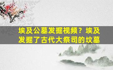 埃及公墓发掘视频？埃及发掘了古代大祭司的坟墓