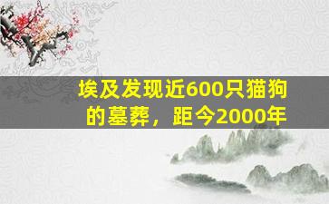 埃及发现近600只猫狗的墓葬，距今2000年