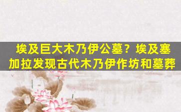 埃及巨大木乃伊公墓？埃及塞加拉发现古代木乃伊作坊和墓葬