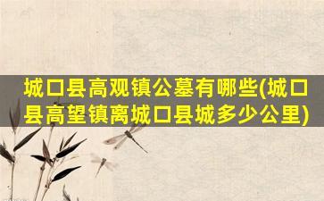 城口县高观镇公墓有哪些(城口县高望镇离城口县城多少公里)