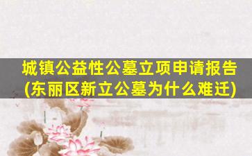 城镇公益性公墓立项申请报告(东丽区新立公墓为什么难迁)