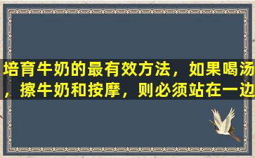培育牛奶的最有效方法，如果喝汤，擦牛奶和按摩，则必须站在一边。