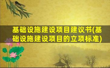 基础设施建设项目建议书(基础设施建设项目的立项标准)