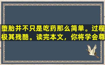 堕胎并不只是吃药那么简单。过程极其残酷。读完本文，你将学会尊重生命。