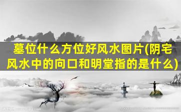 墓位什么方位好风水图片(阴宅风水中的向口和明堂指的是什么)