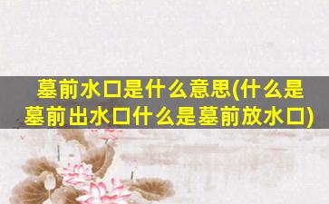 墓前水口是什么意思(什么是墓前出水口什么是墓前放水口)