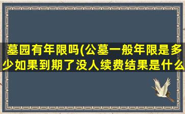 墓园有年限吗(公墓一般年限是多少如果到期了没人续费结果是什么)