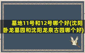 墓地11号和12号哪个好(沈阳卧龙墓园和沈阳龙泉古园哪个好)