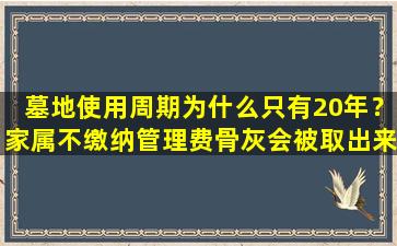 墓地使用周期为什么只有20年？家属不缴纳管理费骨灰会被取出来吗？