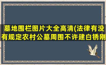 墓地围栏图片大全高清(法律有没有规定农村公墓周围不许建白锈刚护栏)