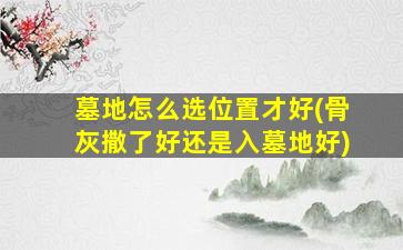 墓地怎么选位置才好(骨灰撒了好还是入墓地好)