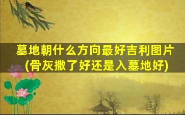墓地朝什么方向最好吉利图片(骨灰撒了好还是入墓地好)
