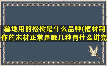 墓地用的松树是什么品种(棺材制作的木材正常是哪几种有什么讲究)