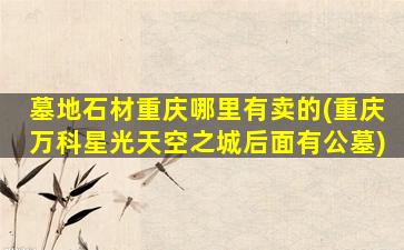 墓地石材重庆哪里有卖的(重庆万科星光天空之城后面有公墓)